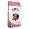 ARION FRIENDS PETIT
