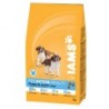 IAMS CACHORROS DE RAZA GRANDE