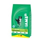 IAMS ADULT RAÇA PETITA I MITJANA