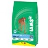 IAMS ADULT RAÇA GRAN