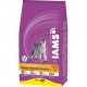 IAMS MATURE +7 ANYS