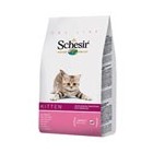 PINSO SCHESIR CAT KITTEN