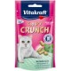 CRISPY CRUNCH DENTAL