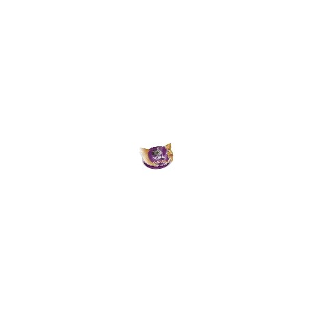 SNACK WHISKAS TEMPTATIONS POLLO 60gr