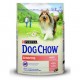 DOG CHOW SENSITIVE SALMÓN Y ARROZ