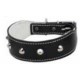 COLLAR ESPECIAL BULLDOG NEGRE