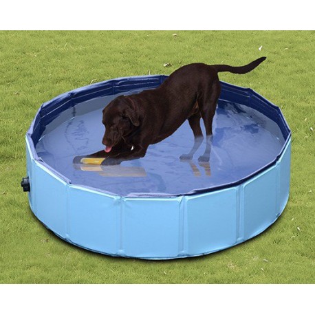 PISCINA PLEGABLE PARA PERROS