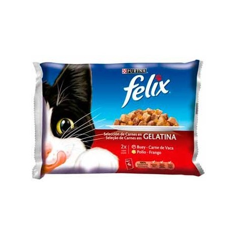 FELIX CARNE GELATINA SOBRES