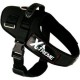 ARNES X-TREME PARA PERROS