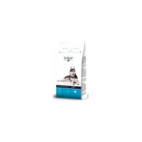SCHESIR DOG ADULT RAZA MEDIANA PESCADO