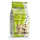 WITTE MOLEN COUNTRY HAMSTER ENANO