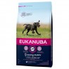 EUKANUBA CACHORRO RAZA GRANDE