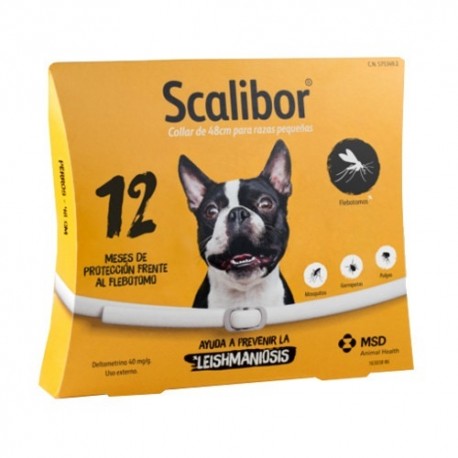 COLLAR SCALIBOR 12 MESES