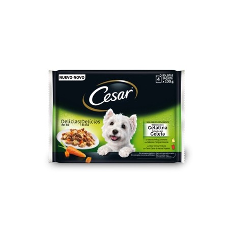 CESAR MULTIPACK EN GELATINA 13 UN DE 4 BOLSITAS DE 100 GR