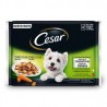 CESAR MULTIPACK EN GELATINA 13 UN DE 4 BOLSITAS DE 100 GR