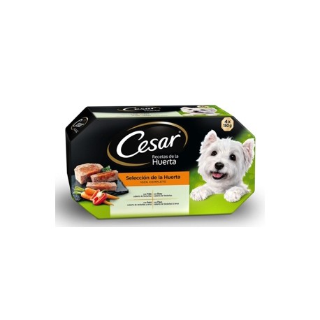 CESAR MULTIPACK RECETA DE LA HUERTA 4 TARRINAS DE 150GR