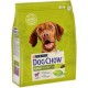 PURINA DOG CHOW ADULT CORDERO