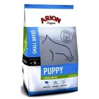 ARION PUPPY RAÇA PETITA POLLASTRE