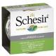 14 LLAUNES 85GR SCHESIR CAT POLLASTRE FILETS AL NATURAL