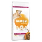 IAMS SENIOR RAÇA GRAN