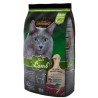 LEONARDO CAT ADULT XAI