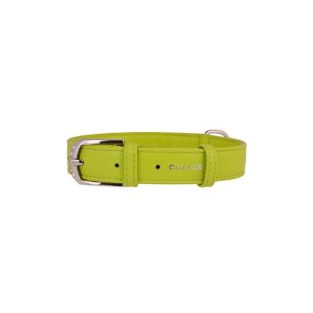 COLLAR PARA PERROS DE CUERO GLAMOUR COLOR VERDE
