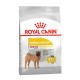 ROYAL CANIN MEDIUM DERMACOMFORT