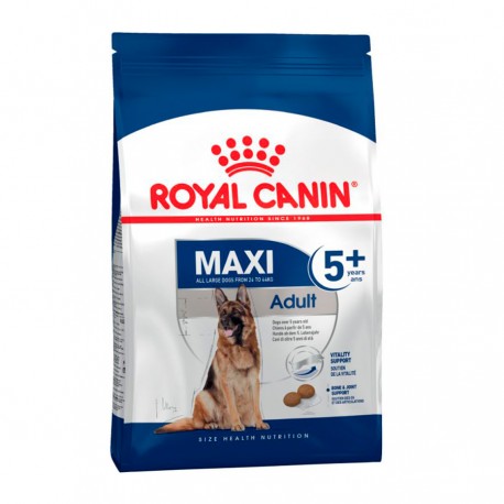 ROYAL CANIN MAXI ADULT 5+