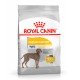 ROYAL CANIN MAXI DERMACOMFORT