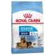 ROYAL CANIN MAXI STARTER