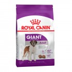 ROYAL CANIN GIANT ADULT