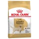 ROYAL CANIN LABRADOR RETRIEVER ADULTO