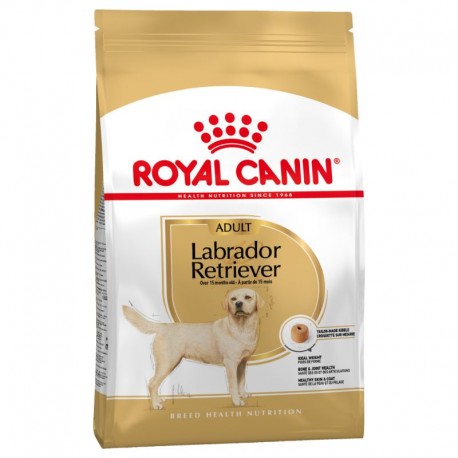 ROYAL CANIN LABRADOR RETRIEVER ADULT