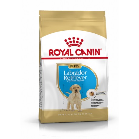 ROYAL CANIN LABRADOR RETRIEVER JUNIOR