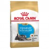 ROYAL CANIN SCHNAUZER MINI JUNIOR