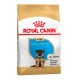 ROYAL CANIN PASTOR ALEMAN JUNIOR
