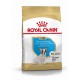 ROYAL CANIN BULLDOG FRANCES PUPPY