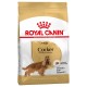 ROYAL CANIN COCKER ADULT