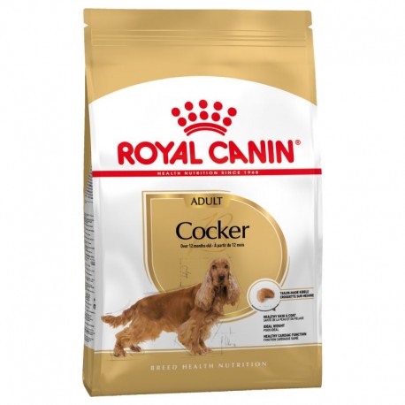 ROYAL CANIN COCKER ADULTO