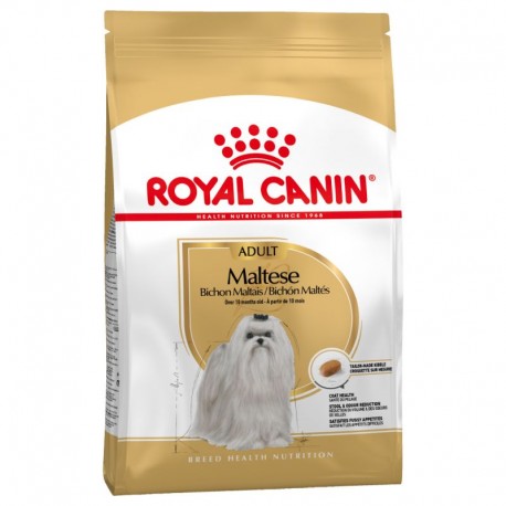 ROYAL CANIN BICHÓN MALTES ADULTO