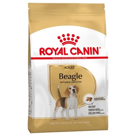 ROYAL CANIN BEAGLE ADULTO