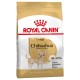 ROYAL CANIN CHIHUAHUA ADULTO