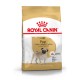 ROYAL CANIN CARLIN ADULTO