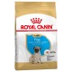 ROYAL CANIN CARLIN JUNIOR