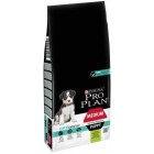 PRO PLAN CANINE PUPPY MEDIUM DIGEST XAI 12 kg