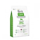 BRIT CARE DOG GRAIN FREE ADULT LARGE SALMÓ PATATA