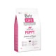 BRIT CARE DOG GRAIN FREE PUPPY SALMÓ PATATA