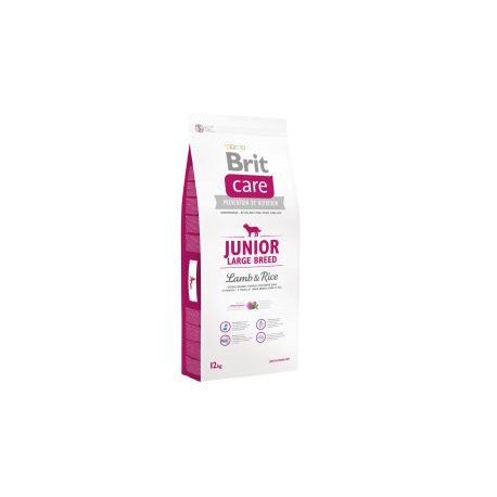 BRIT CARE DOG JUNIOR RAZA GRANDE CON CORDERO