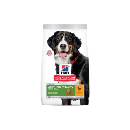 HILLS CANINE MATURE RAZA GRANDE CON POLLO