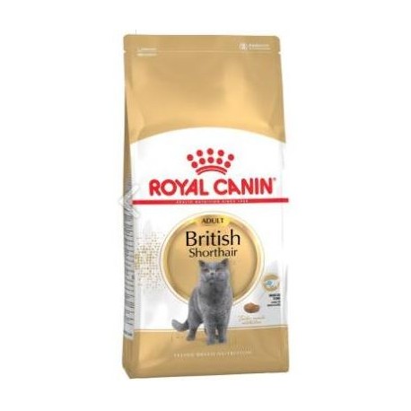 ROYAL CANIN BRITISH SHORTHAIR